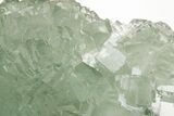 Green Cubic Fluorite Crystals with Phantoms - China #216341-2
